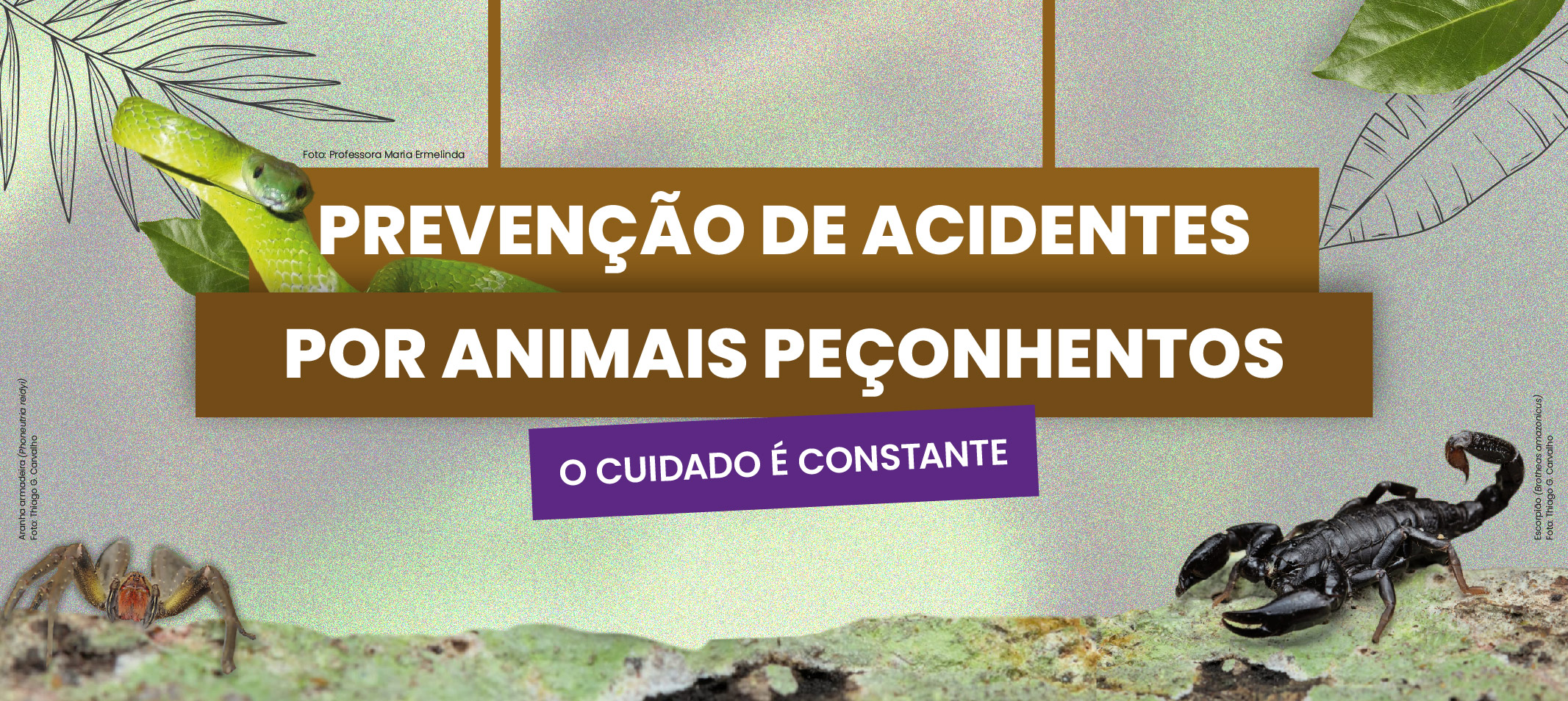 Ufam promove campanha de prevenção de acidentes ocasionados por animais peçonhentos